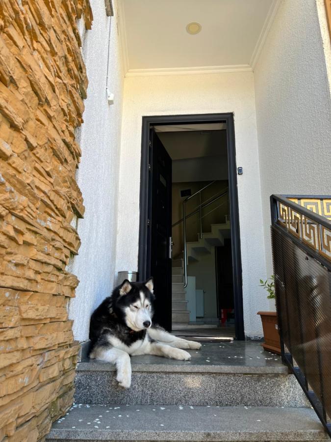 Hotel Aisi Kutaisi Zewnętrze zdjęcie